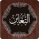Surah Taghabun APK