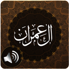 Surah Al Imran Audio icône