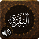 Surah Baqarah Audio aplikacja
