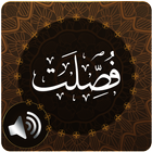 Surah Fussilat Audio icône