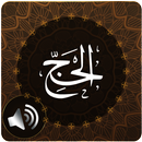 Surah Hajj Audio APK
