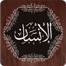 Surah Insan APK