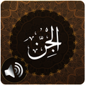 Surah Jinn Audio