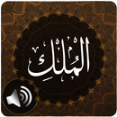 Surah Mulk Audio aplikacja