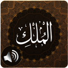 Surah Mulk Audio icône