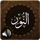Surah Noor Audio APK