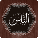 Surah Nas APK