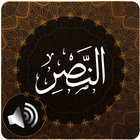 Surah Nasr Audio icône