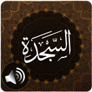 Surah Sajdah Audio APK