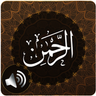 Surah Rahman Audio icône