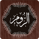 Surah Rum APK
