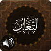 Surah Taghabun Audio