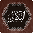 Surah Takathur APK