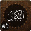Surah Takathur Audio APK