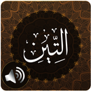 Surah Tin Audio APK
