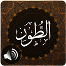 Surah Tur Audio APK