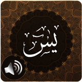Surah Yaseen Audio icône