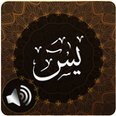 Surah Yaseen Audio aplikacja