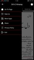 Dil K 2 Kinary Urdu Novel screenshot 2
