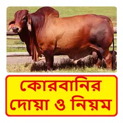 কোরবানির দোয়া ও নিয়ম - Korbani Guide アプリダウンロード