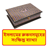ইসলামের রুকনসমূহের ব্যাখ্যা বই icon