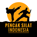 Pencak Silat Indonesia APK