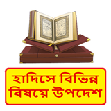 হাদিসে বিভিন্ন বিষয়ে উপদেশ বই icon