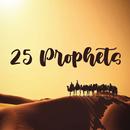 Awesome Story Of 25 Prophets APK