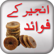 Anjeer k Fawaid