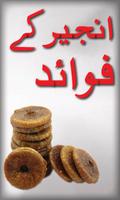 Anjeer k Fawaid الملصق