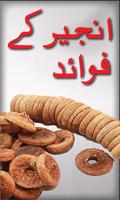 Anjeer k Fawaid تصوير الشاشة 1