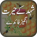 Shehed ke Fawaid APK