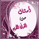 الامثال في القرآن الكريم icon