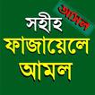 ফাজায়েলে আমল - Fazayele Amol আইকন