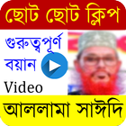 দেলোয়ার হোসেন সাঈদি । Saidi Waz । Saidi Bangla waz иконка