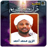 الزين محمد أحمد أيقونة