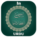 Sahih Bukhari in Urdu APK