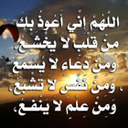 بوستات اسلامية icon