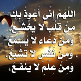 بوستات اسلامية icon