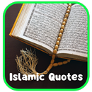 Quotes Wallpaper aplikacja