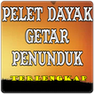 Pelet Dayak Getar Penunduk