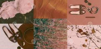 Mood Board Wallpaper Juos Cartaz