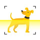Dog scanner - Dog Breed ID