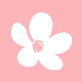 Chula - Belleza sin límites APK