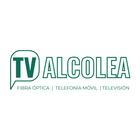 TvAlcolea simgesi