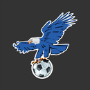 VULTURE PRO APK