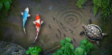 魚池動態桌布 - Fish Pond
