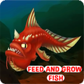 Feed And Growing Fish
