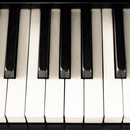 Learning Org Piano APK