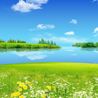 Paradise Wallpapers آئیکن